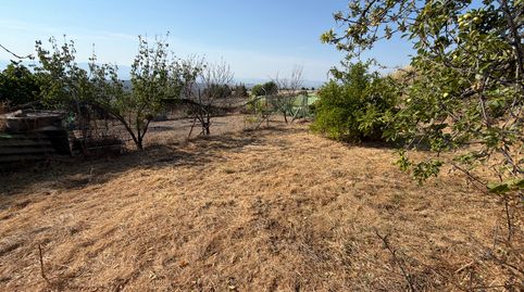 Foto 2 de Terreno en venta en Paseo Santiago, Torreperogil, Jaén