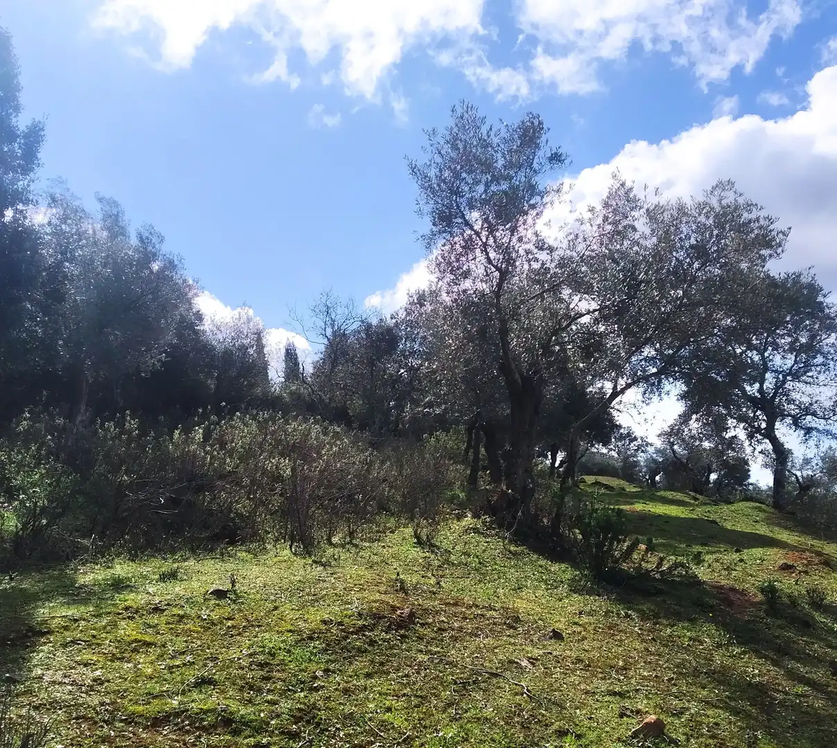 Terreni e lotti in vendita a Jerez de los Caballeros, imagen 6