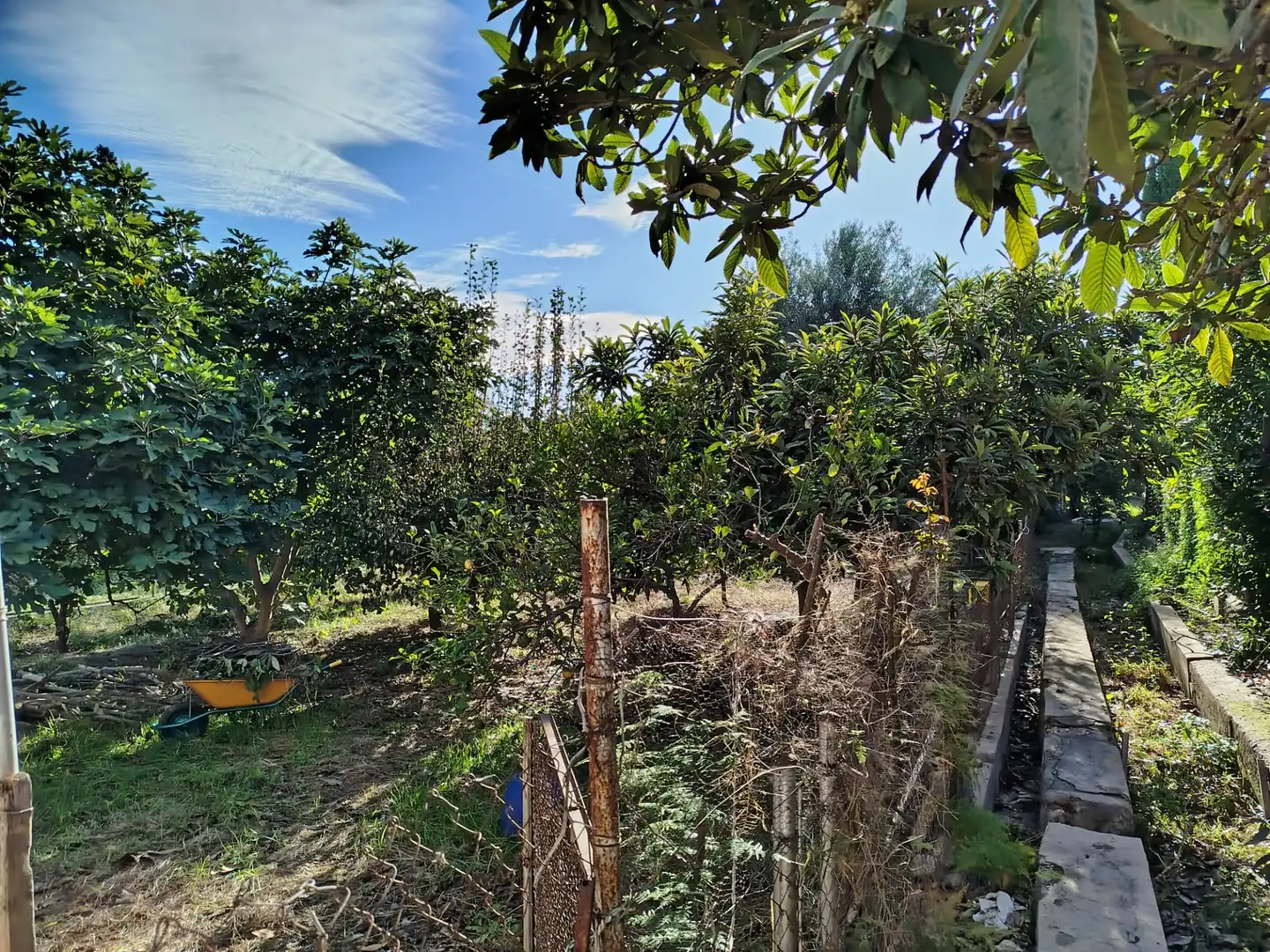 Country homes for sale in Murcia