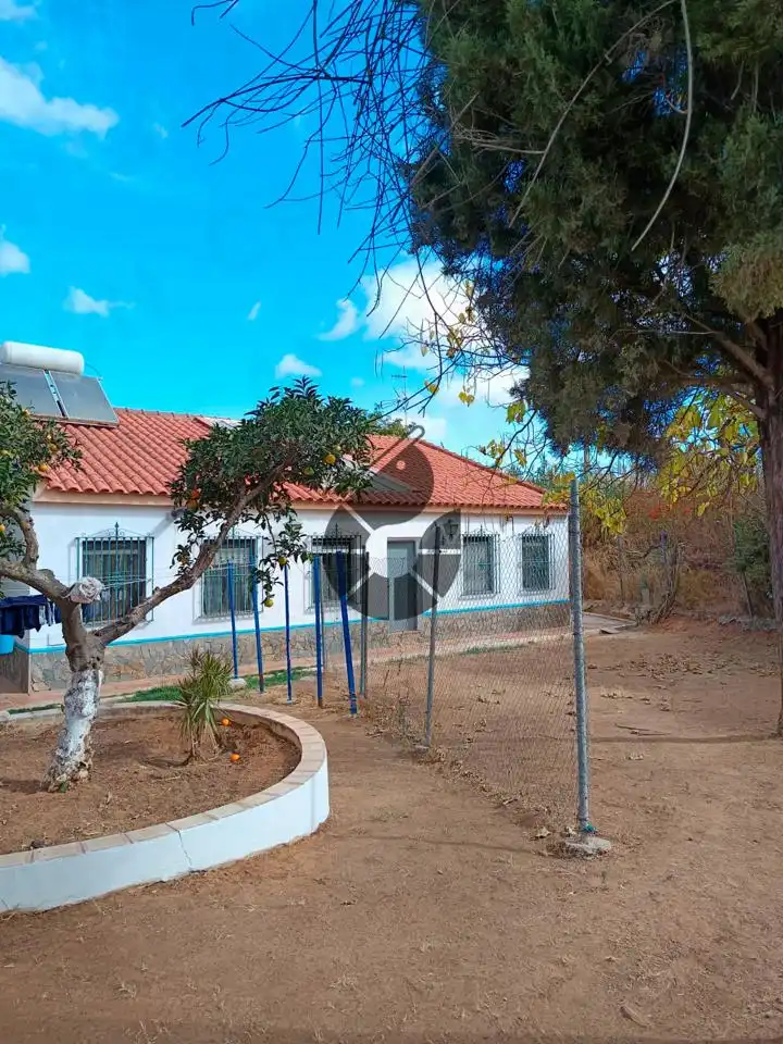 Landhaus mit Pool zum Verkauf in La Puebla del Río, imagen 9