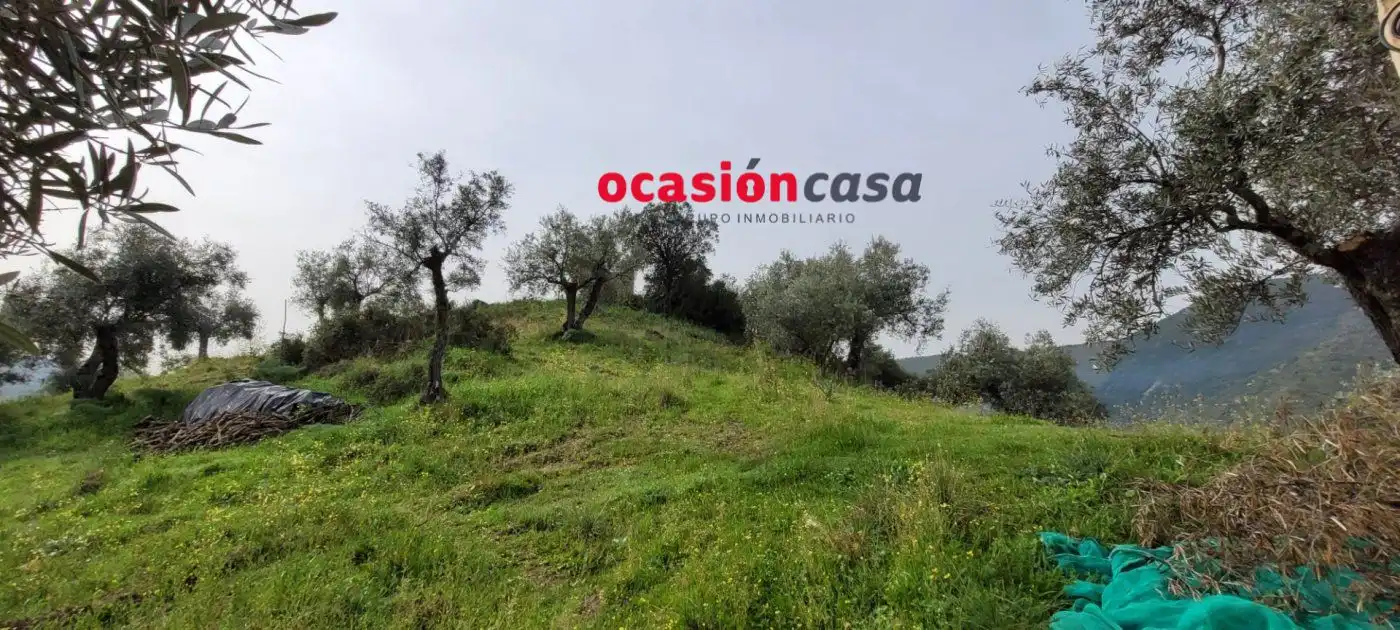 Casa rústica en venda a Pozoblanco, imagen 5