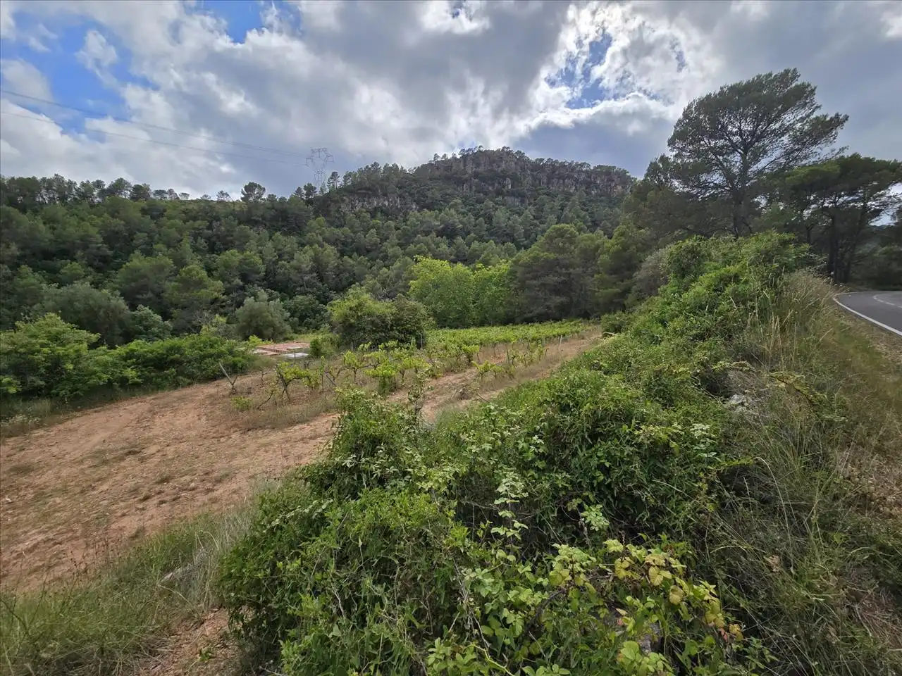 Terreny residencial en venda a Plana de Cal Cendra, imagen 3