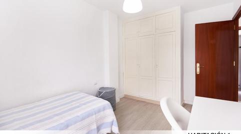 Photo 3 of Apartments for share in Parque María Luisa -Giralda Sur,  Sevilla Capital