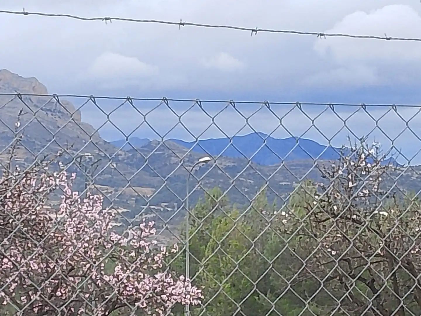 Vista exterior de Casa o xalet en venda en Tibi amb Jardí privat, Terrassa i Moblat