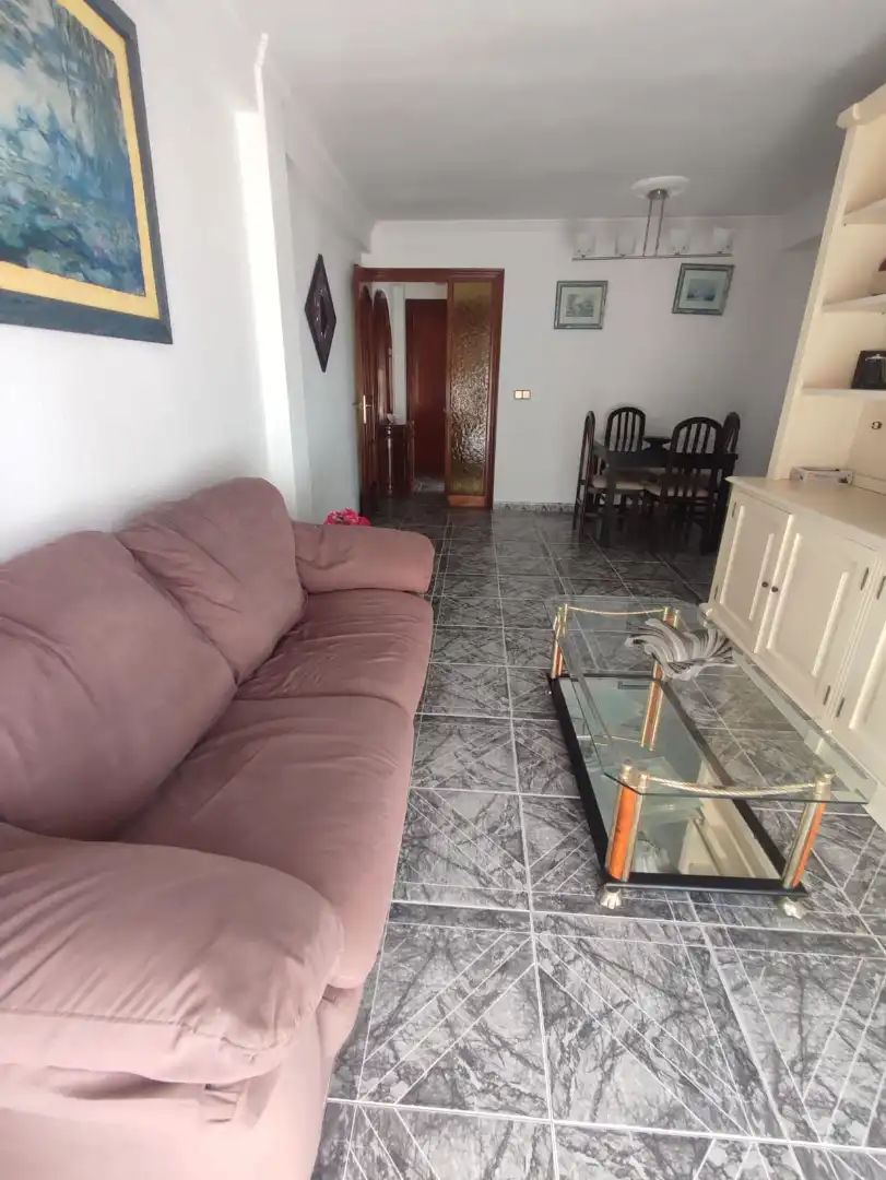 Living room of Flat for rent in Málaga  with Heating, Terrace and Furnished