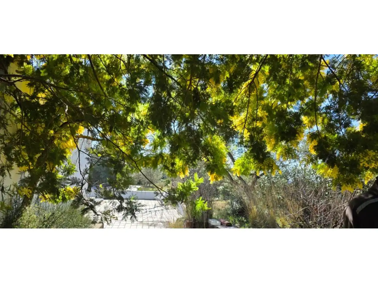 Jardín de Casa o chalet en venta en Lliçà d'Amunt con Aire acondicionado, Jardín privado y Terraza