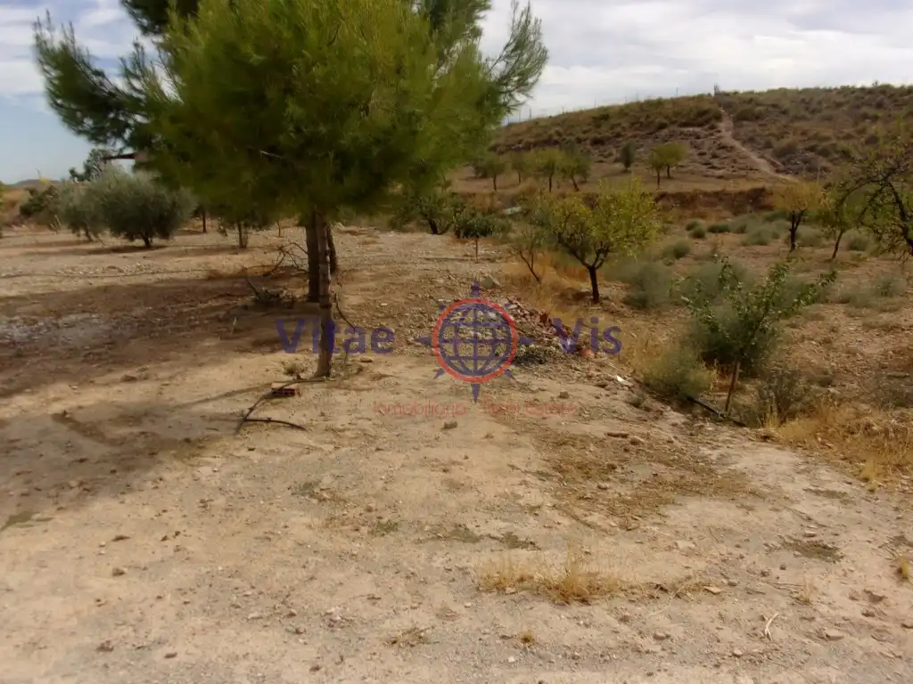 Casa o chalet en venta en Zarcilla de Ramos