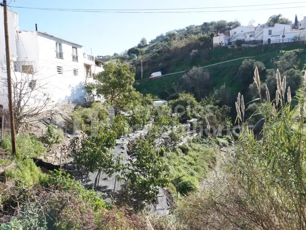 Casa o chalet en venta en Canillas de Aceituno