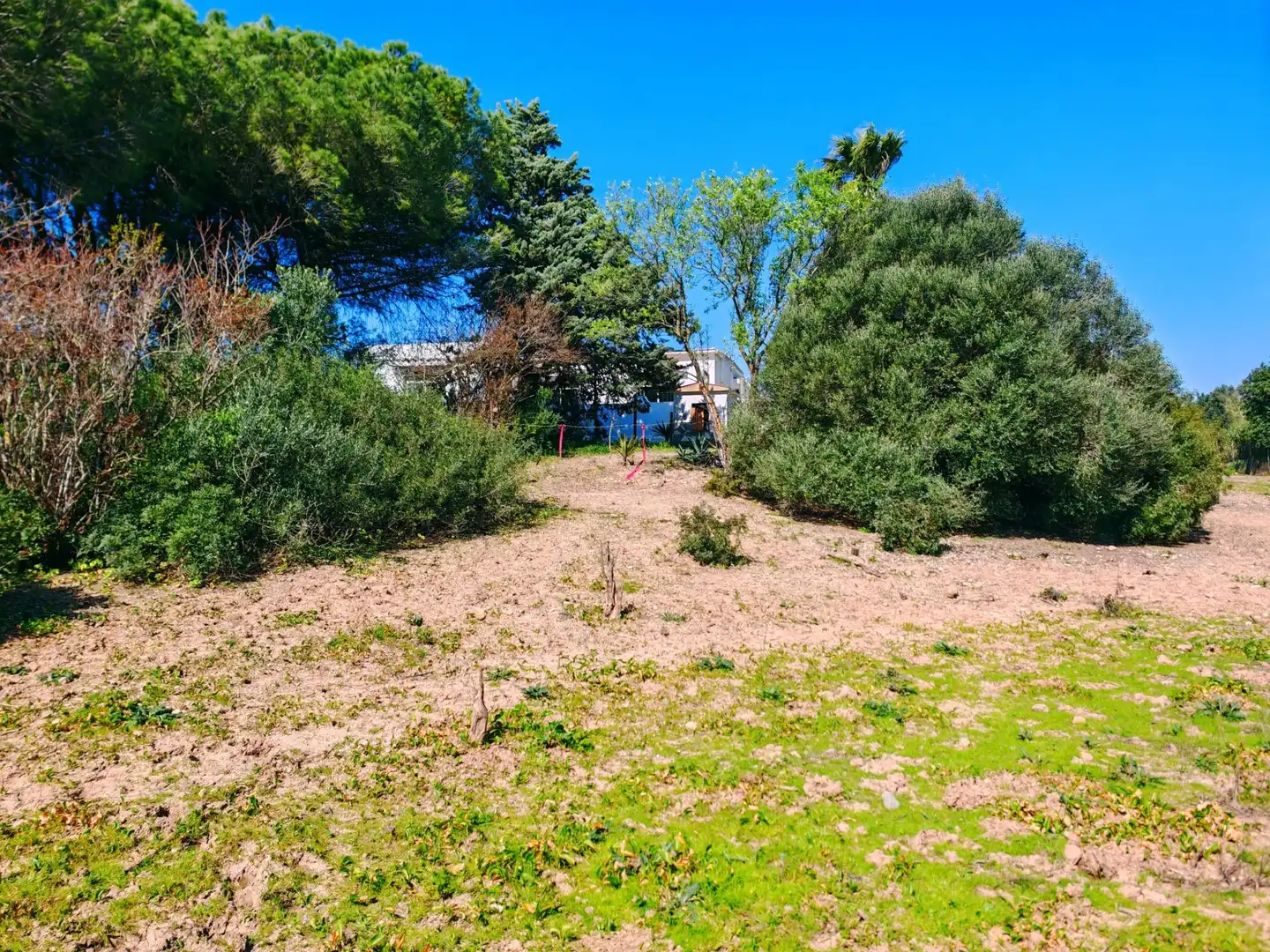 Casa o chalet en venta en Medina Sidonia con Jardín privado, Piscina y Amueblado