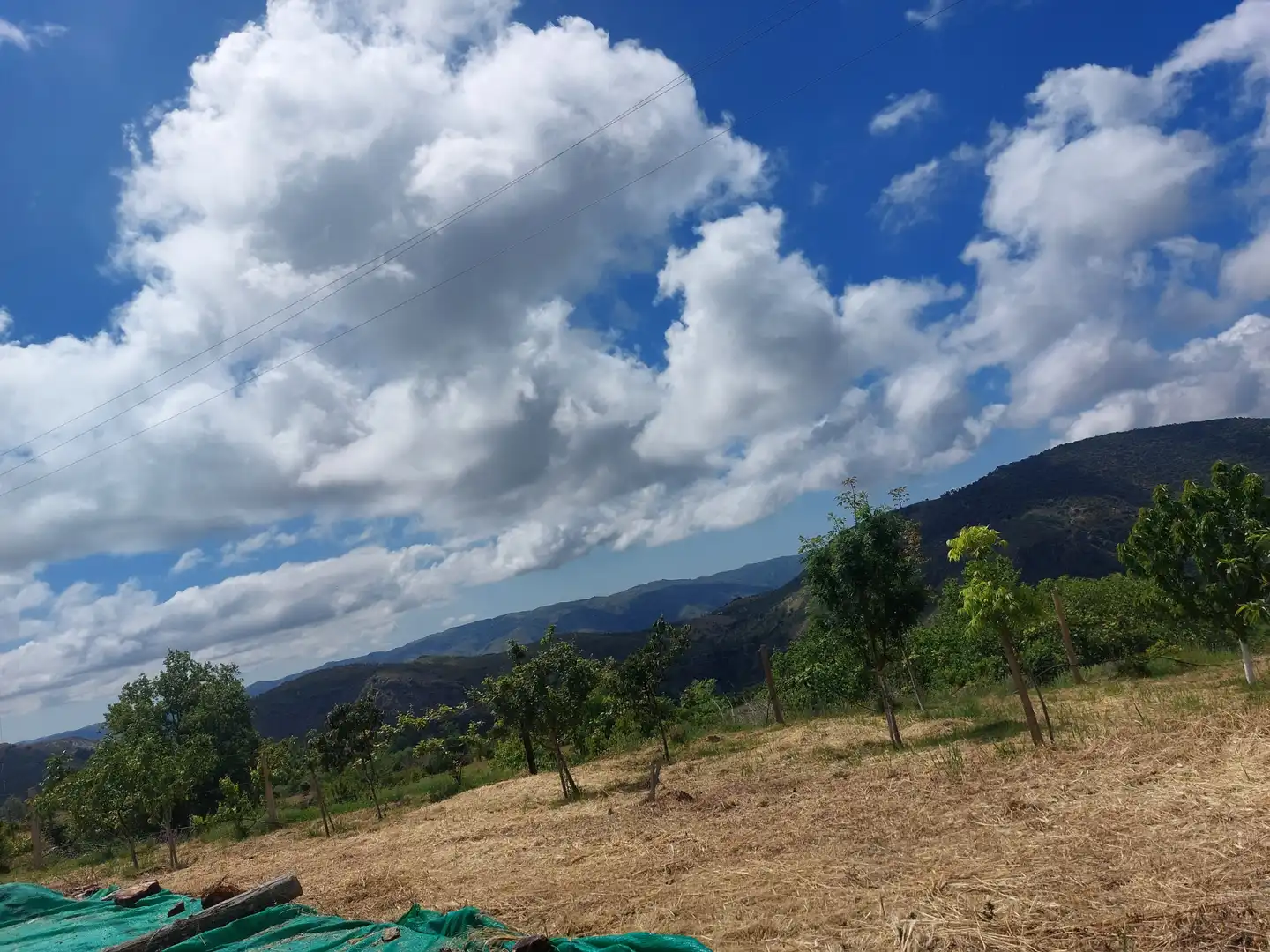 Land for sale in Pórtugos