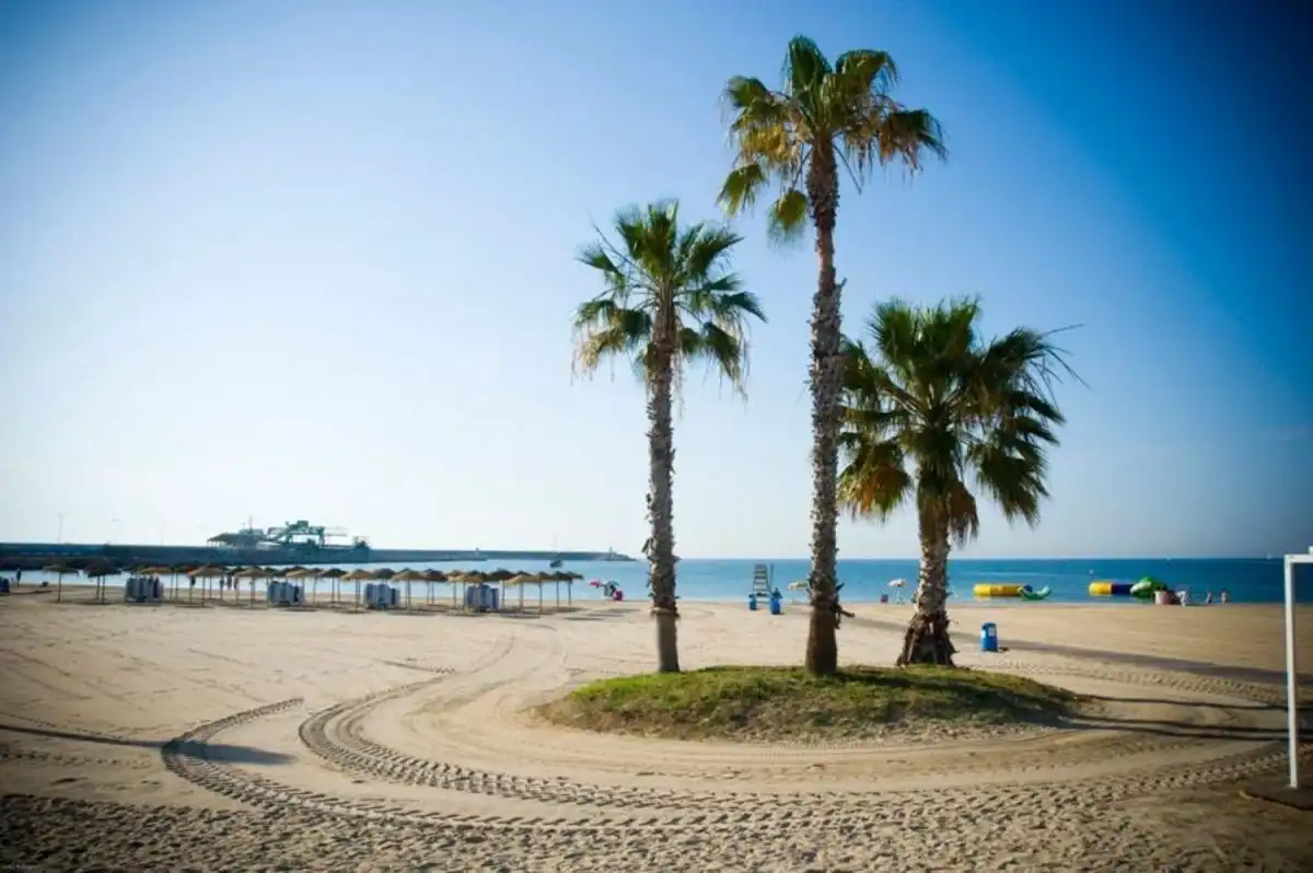 Vista exterior de Casa o xalet en venda en Torrevieja amb Aire condicionat, Jardí privat i Terrassa