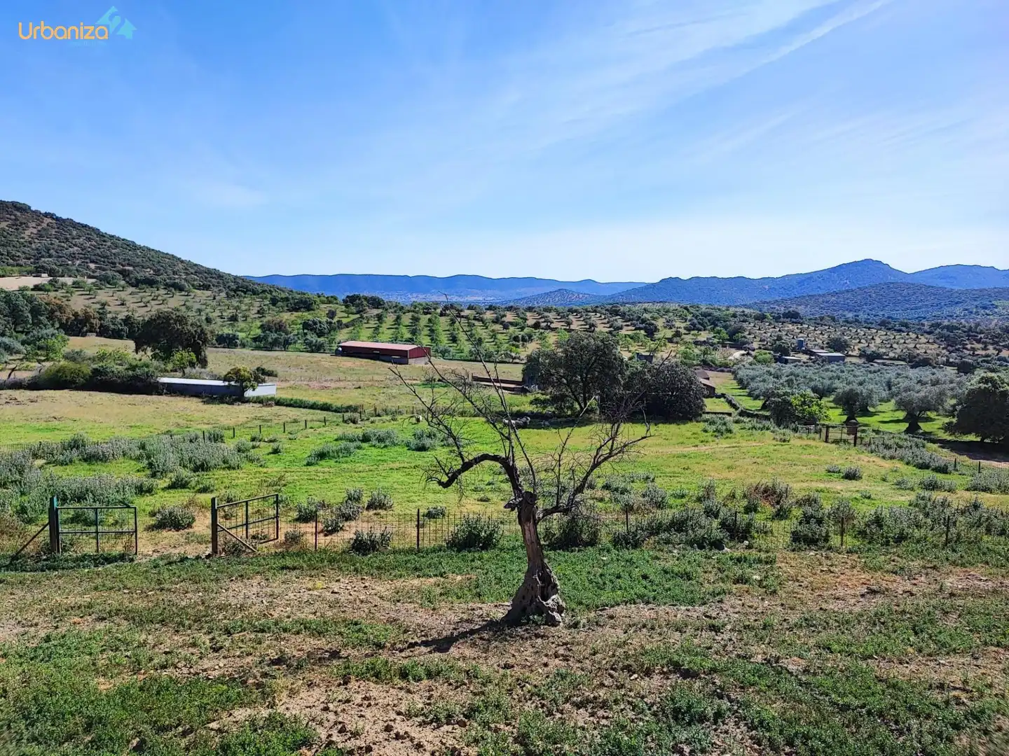 Land for sale in Salvaleón