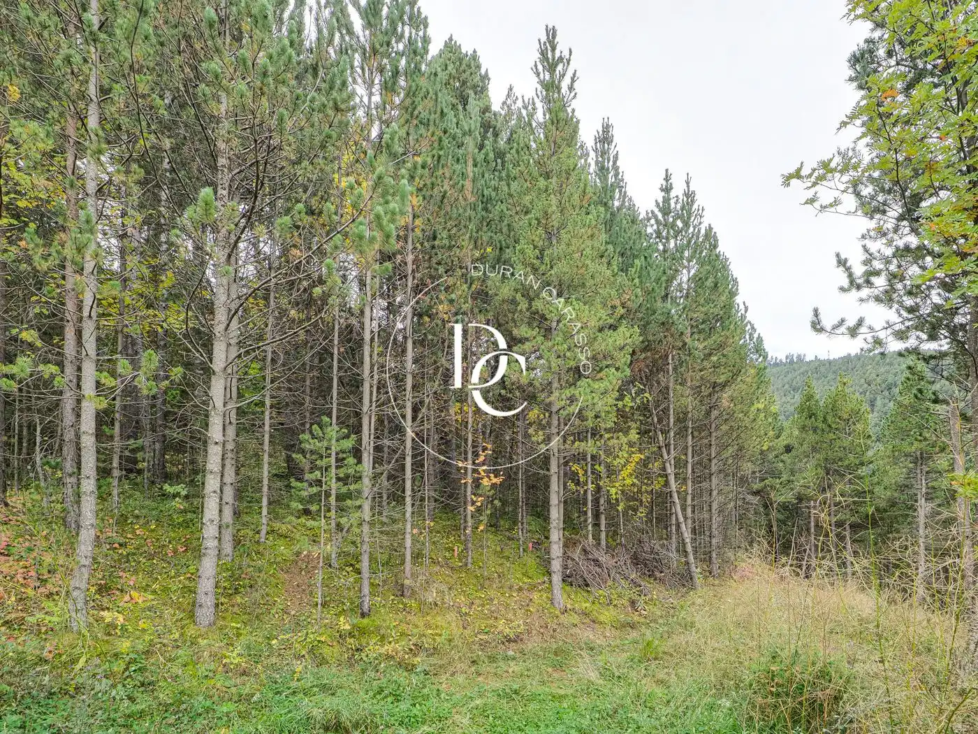Residential for sale in Alp