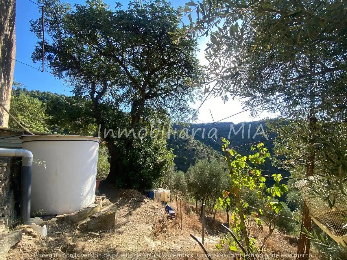 Casa o xalet en venda en Málaga