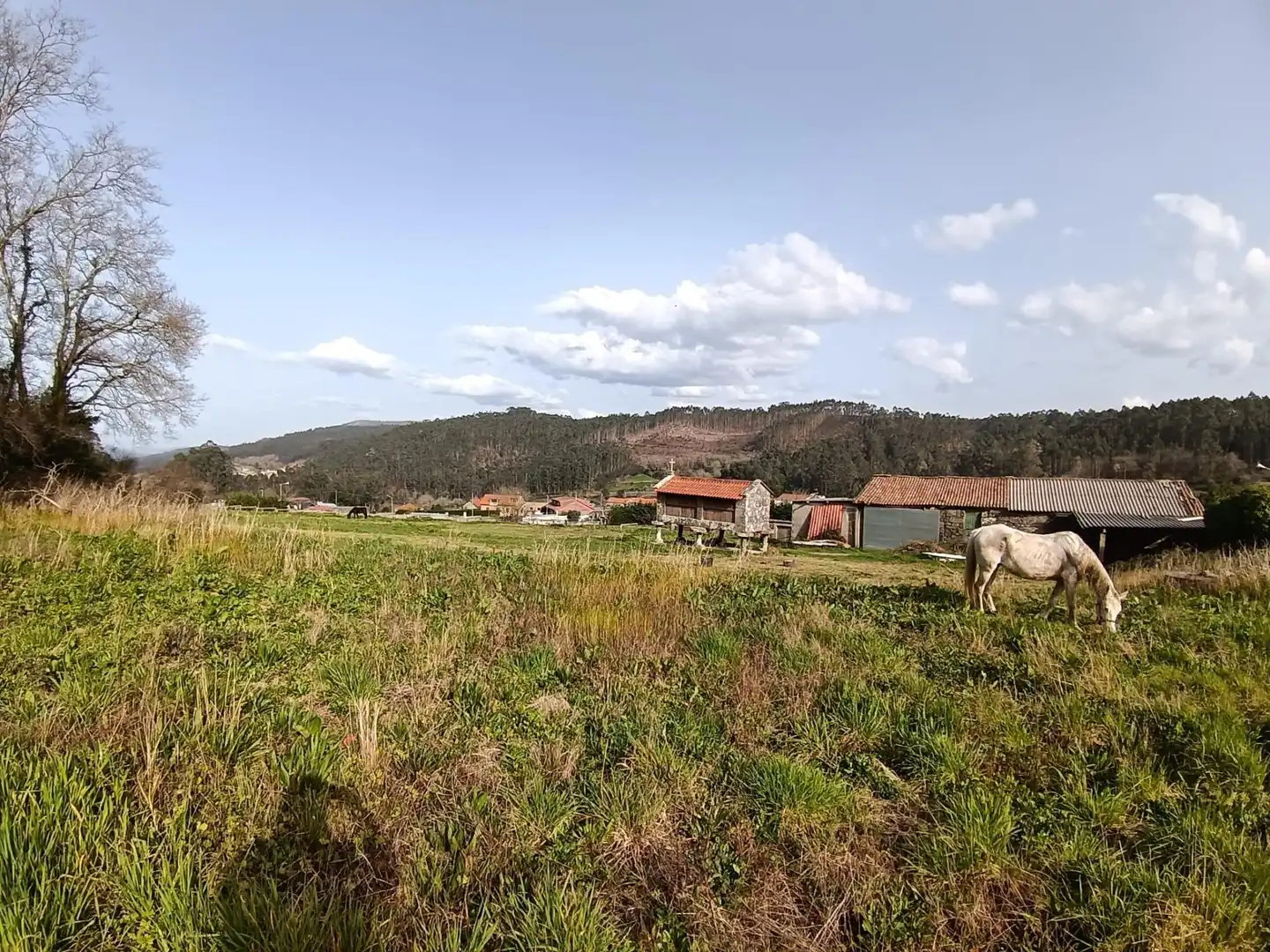 Country homes for sale in Meis
