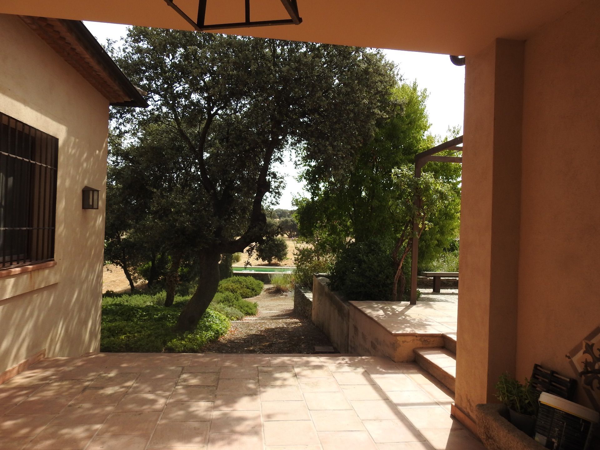 Garden of Land for sale in Villar del Pedroso