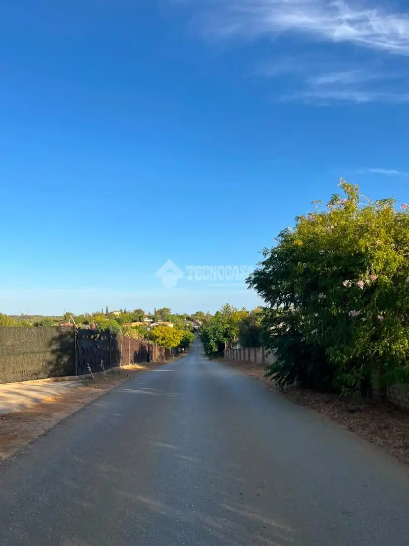 Vista exterior de Finca rústica en venta en Carmona