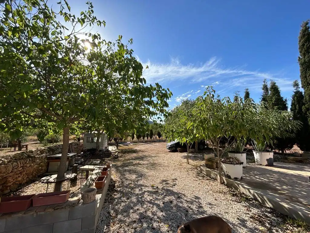 Jardí de Finca rústica en venda en Orihuela
