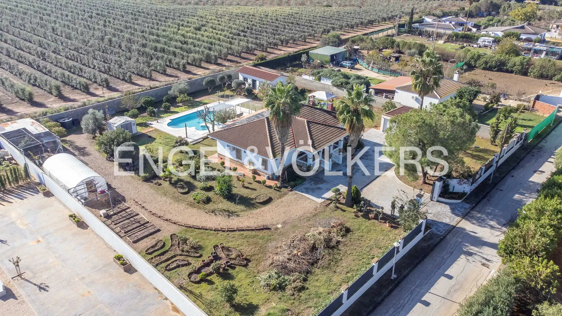 Casa con piscina en venta en Carmona, imagen 4