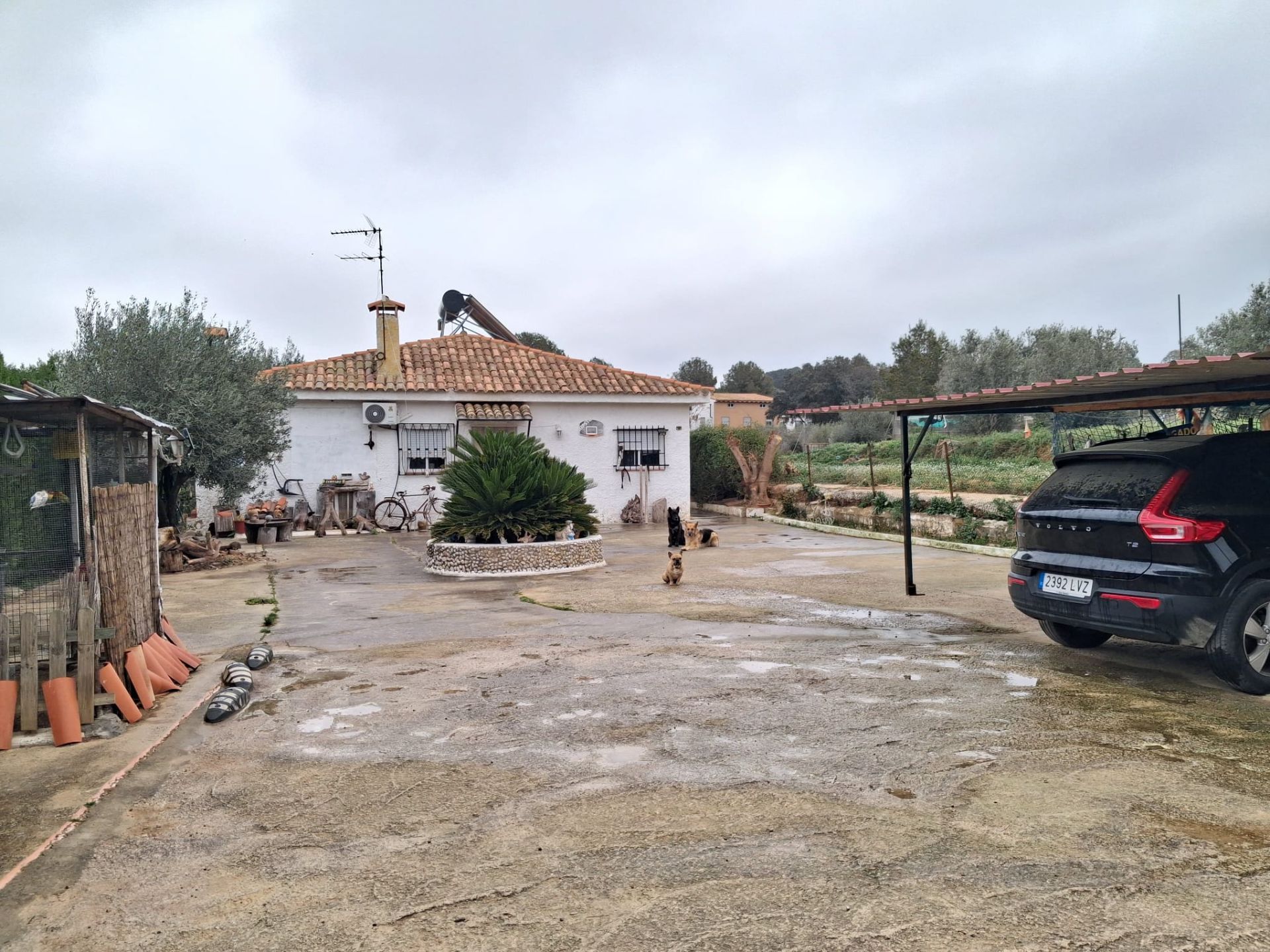 Vista exterior de Casa o chalet en venta en Montserrat con Jardín privado y Terraza