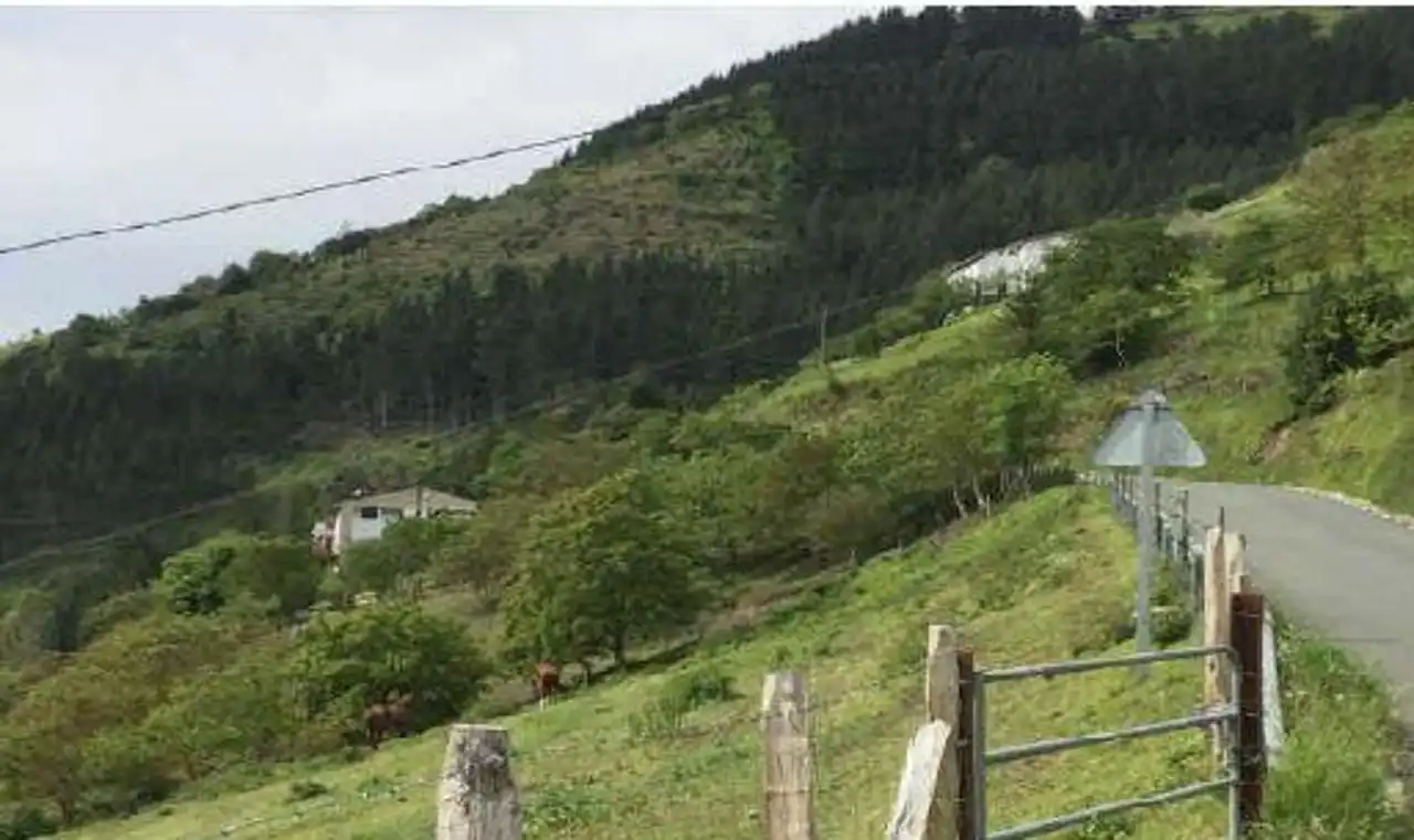 Villa zum Verkauf in Soraluze / Plasencia de las Armas, imagen 5