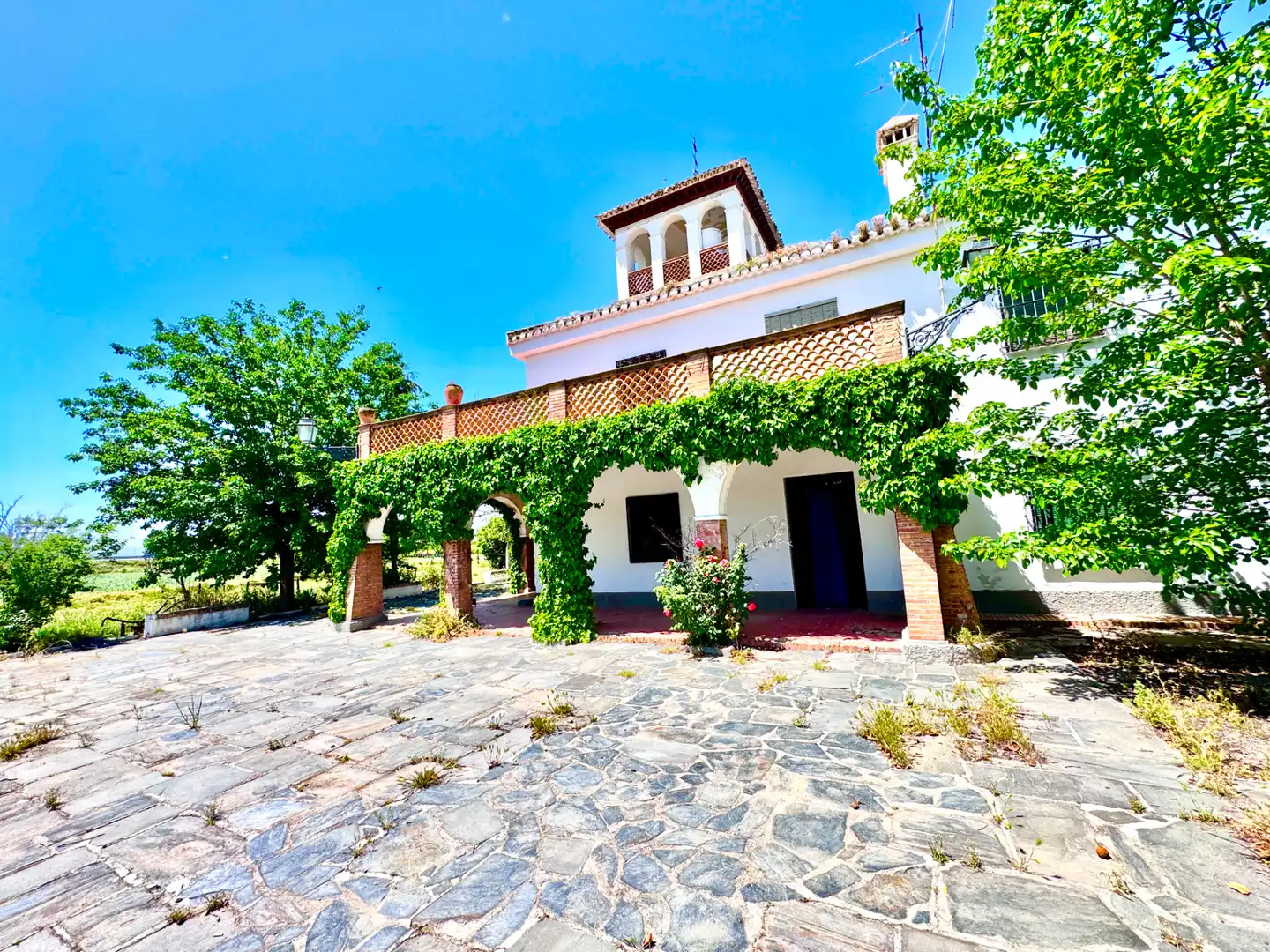 Vista exterior de Casa o chalet en venta en Granada con Jardín privado, Terraza y Trastero