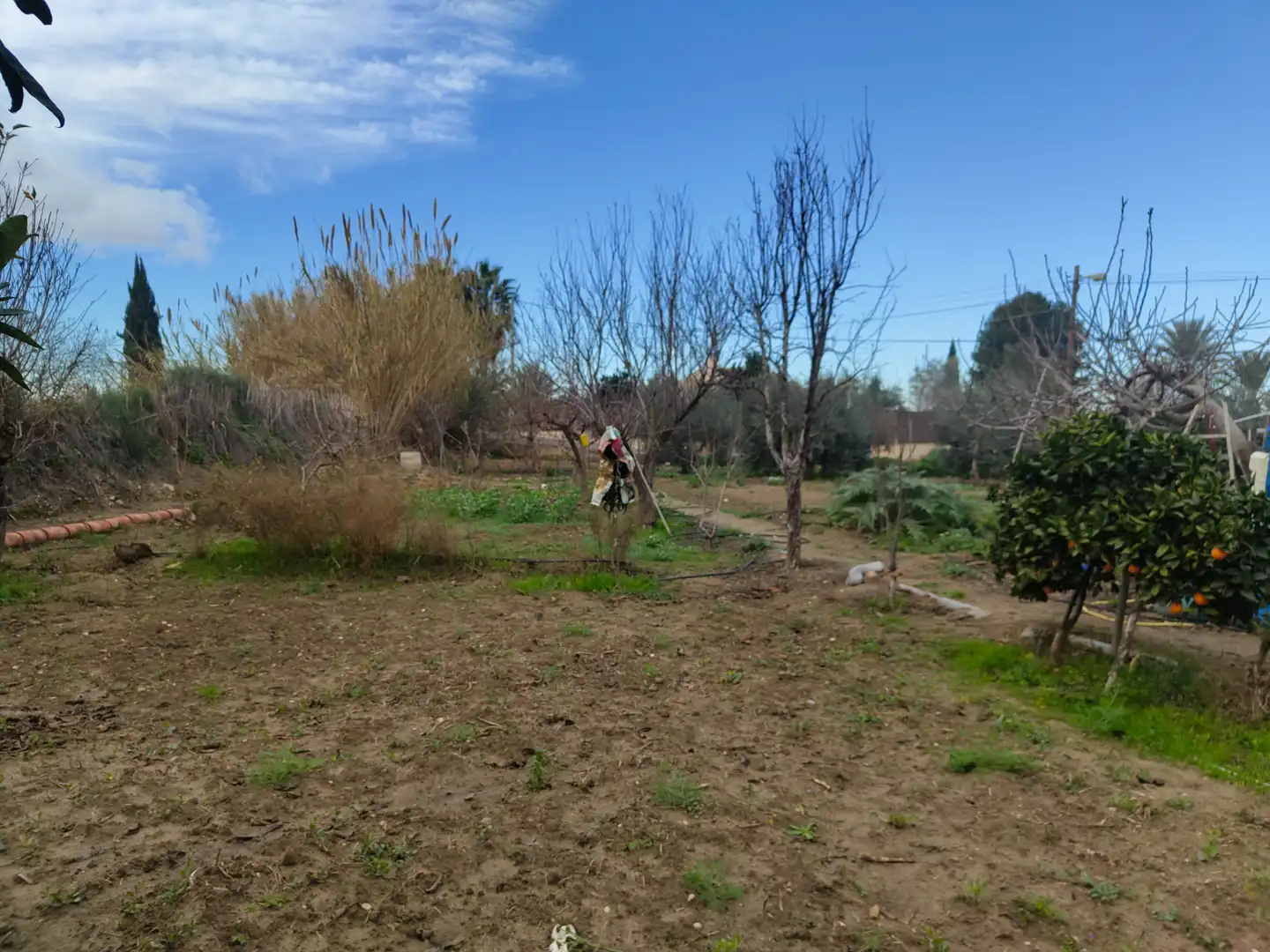 Casa o xalet en venda en Alguazas