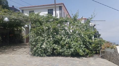 Foto 2 de Finca rústica en venta en La Vega - El Amparo - Cueva del Viento, Icod de los Vinos