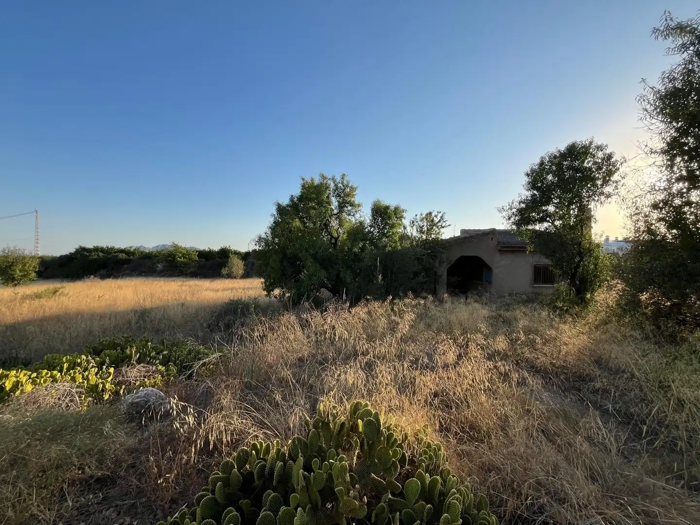 Casa rústica amb jardí en venda a Albatera, imagen 2