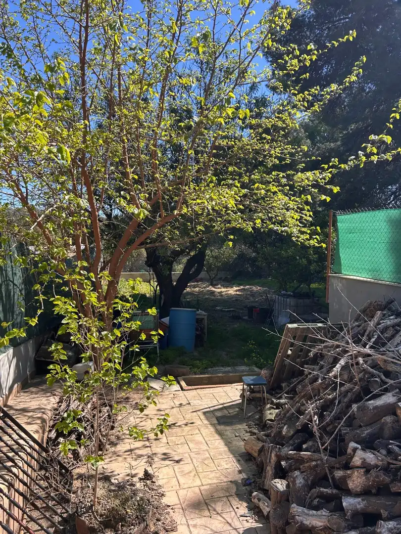 Chalet en venta en Calle PLA DE PAVIA, imagen 55