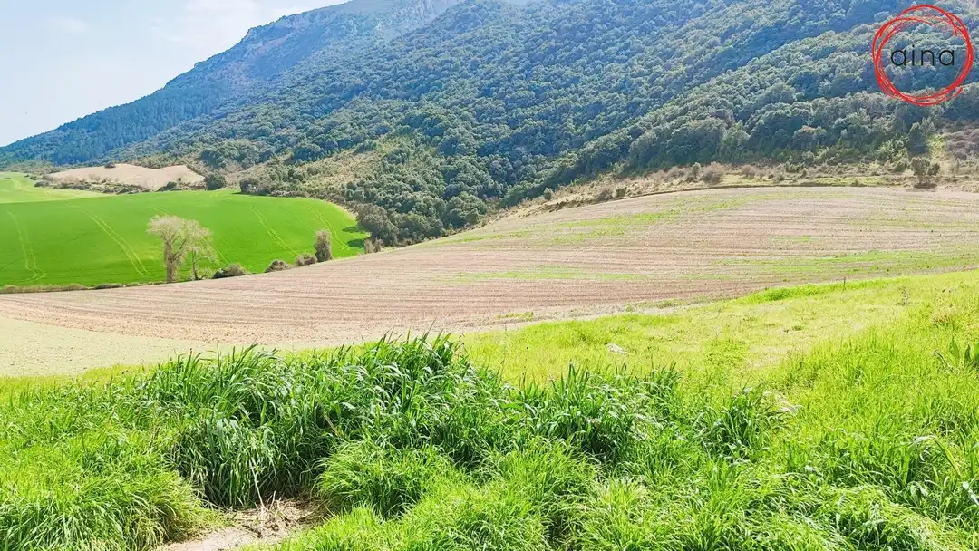 Residential for sale in Valle de Elorz / Elortzibar
