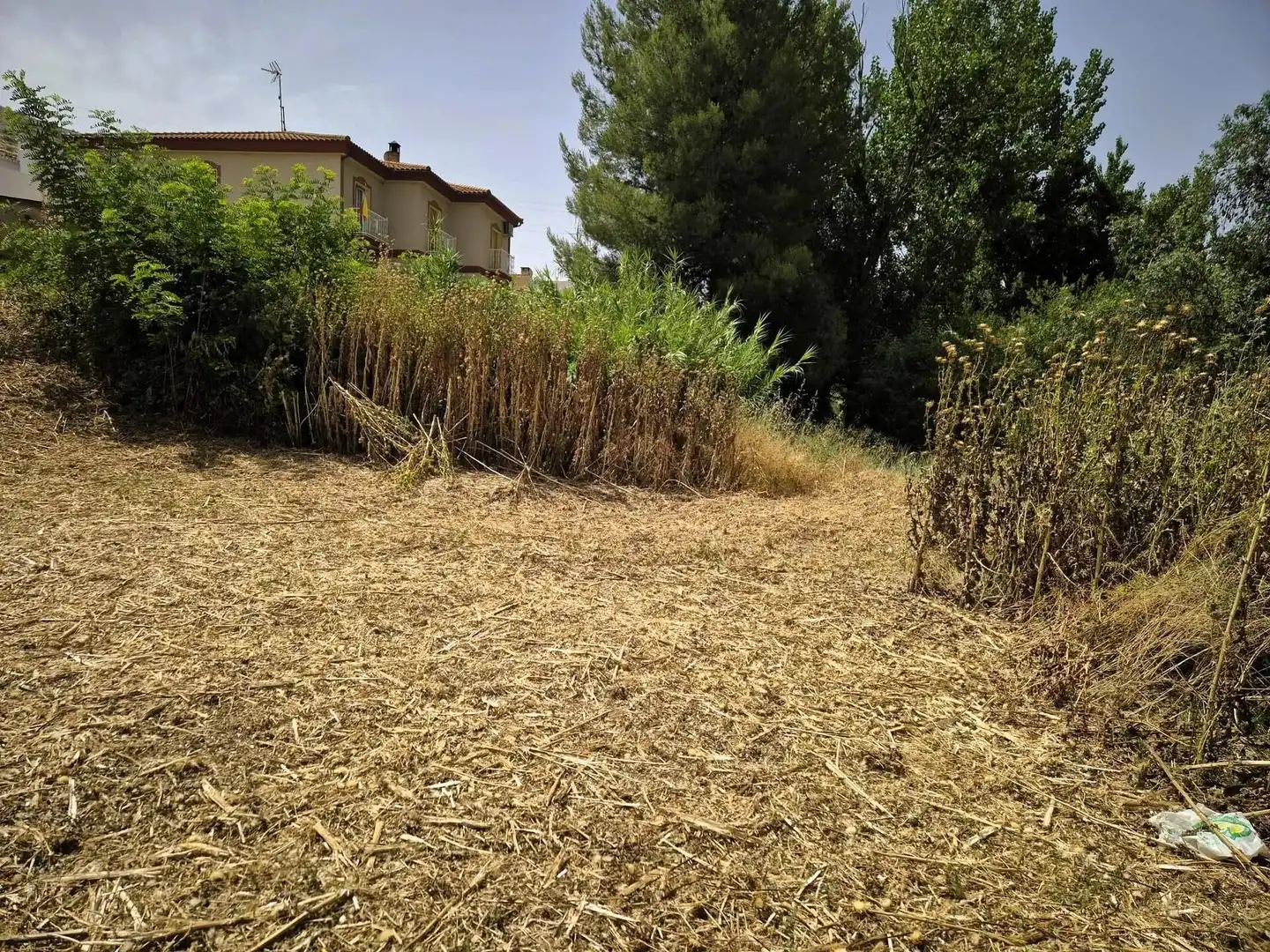 Terrain résidentiel à vendre à Loja, imagen 6