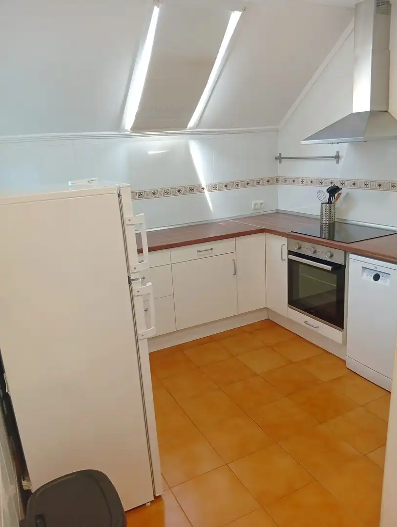 Kitchen of Flat for rent in Málaga  with Air Conditioner, Terrace and Furnished
