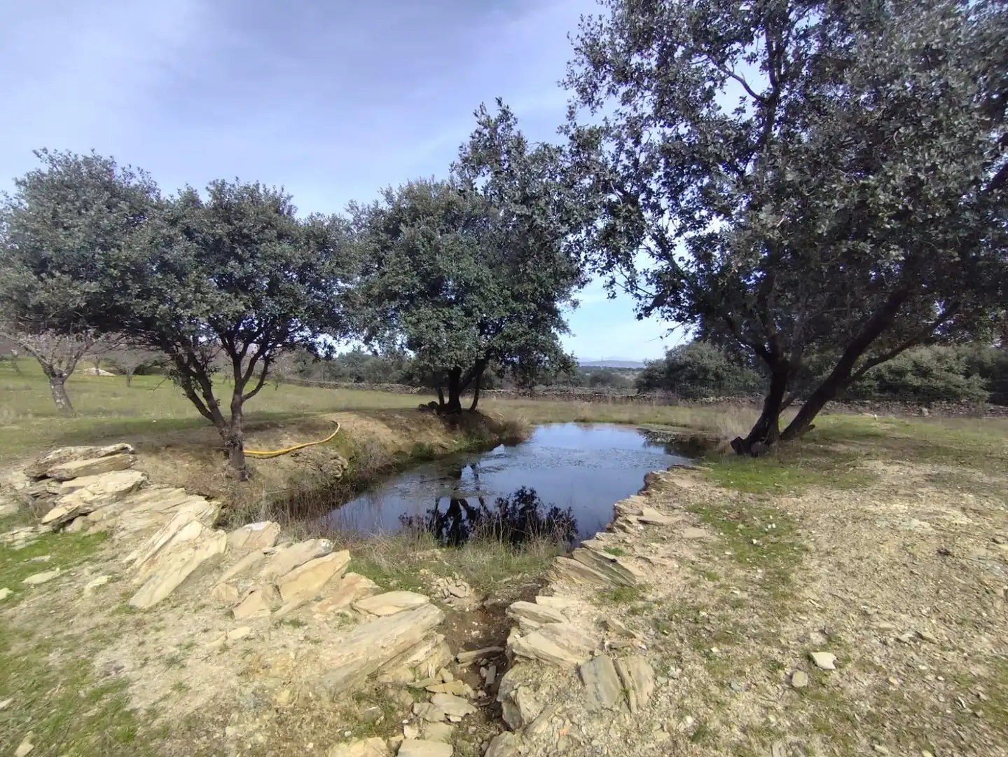 Finca rústica en venta en Malpartida de Plasencia con Piscina