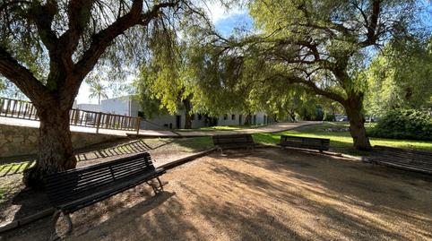 Photo 4 of Flat for sale in Calle Capella Margall, Novelda, Alicante