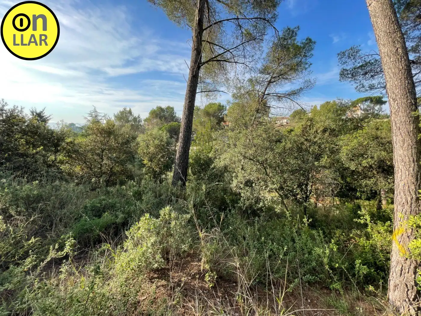 Wohnbaugrundstück zum Verkauf in Calle Pedrera 21, imagen 21