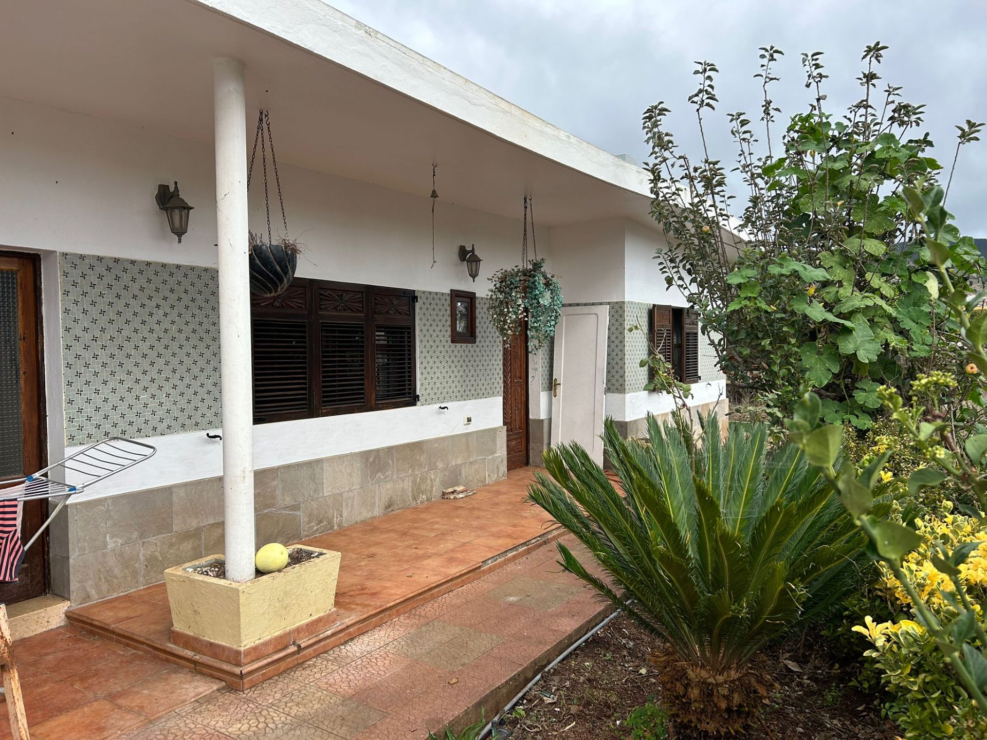 Exterior view of House or chalet to rent in San Cristóbal de la Laguna  with Pets allowed