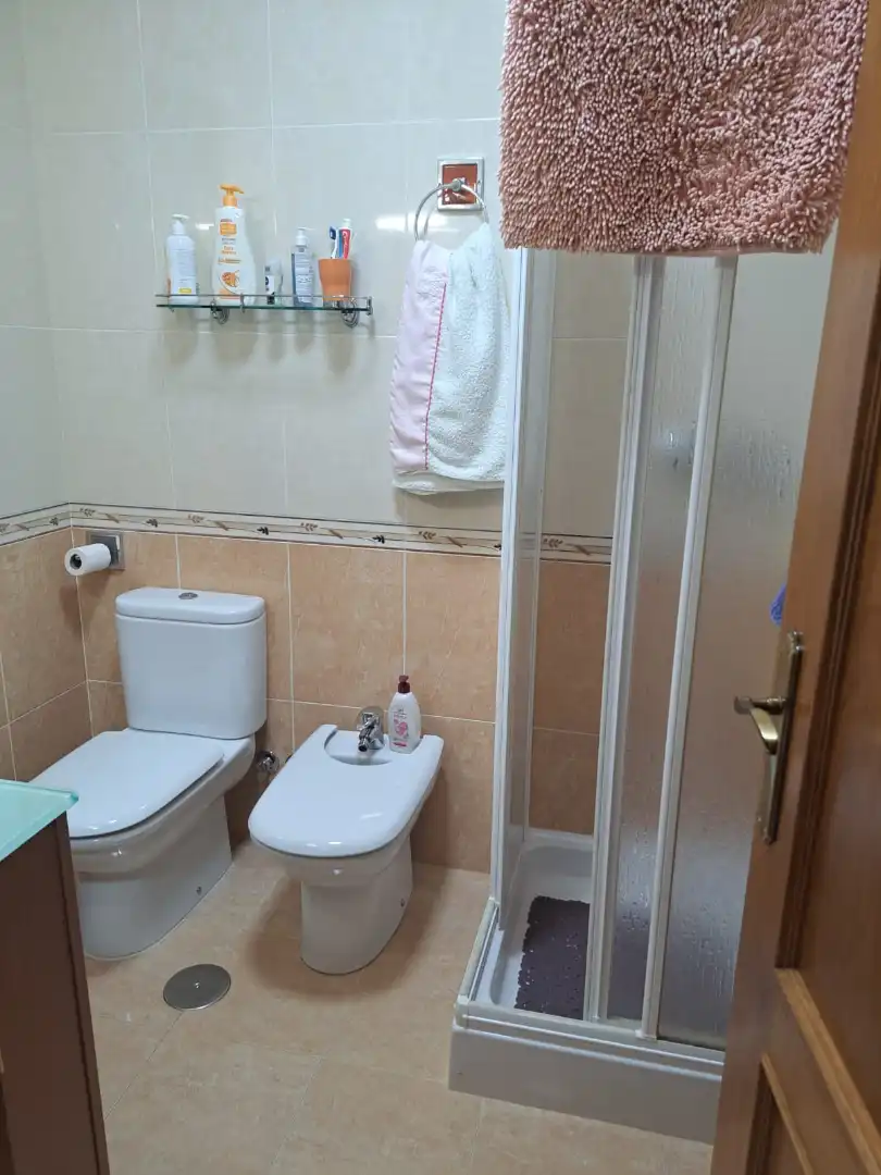 Badezimmer von Haus oder Chalet zum Verkauf in Guadix mit Klimaanlage, Heizung und Terrasse