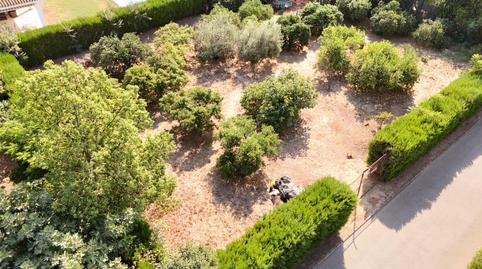 Photo 2 of Residential for sale in Calle Naranjal, 6, Loreto, Espartinas