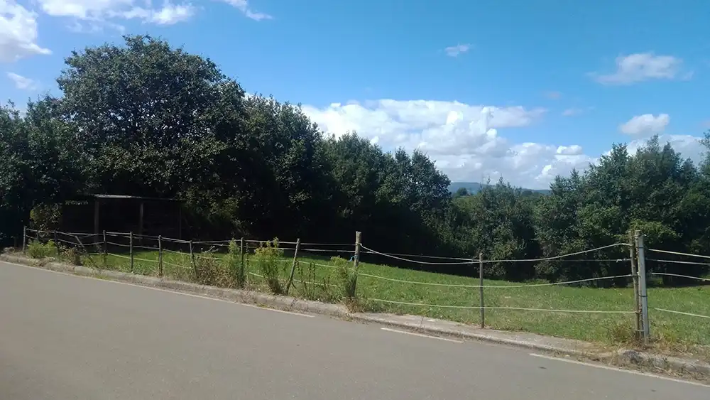 Terrenys i solars en venda a Polígono 41. Parcela 320 1, imagen 5