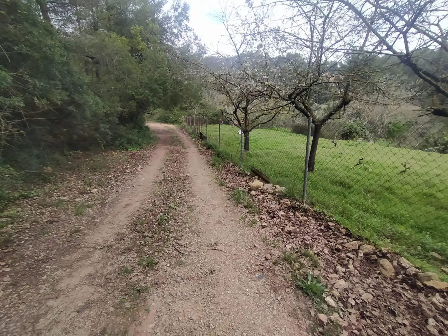 Wohnbaugrundstück zum Verkauf in Carretera Corbera a Gelida 83, imagen 5