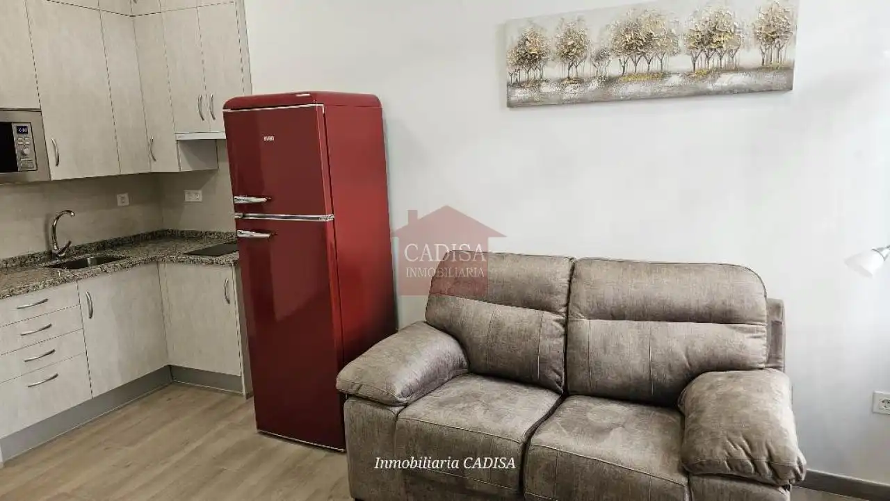 Sala d'estar de Estudi de lloguer en Salamanca amb Aire condicionat, Calefacció i Moblat