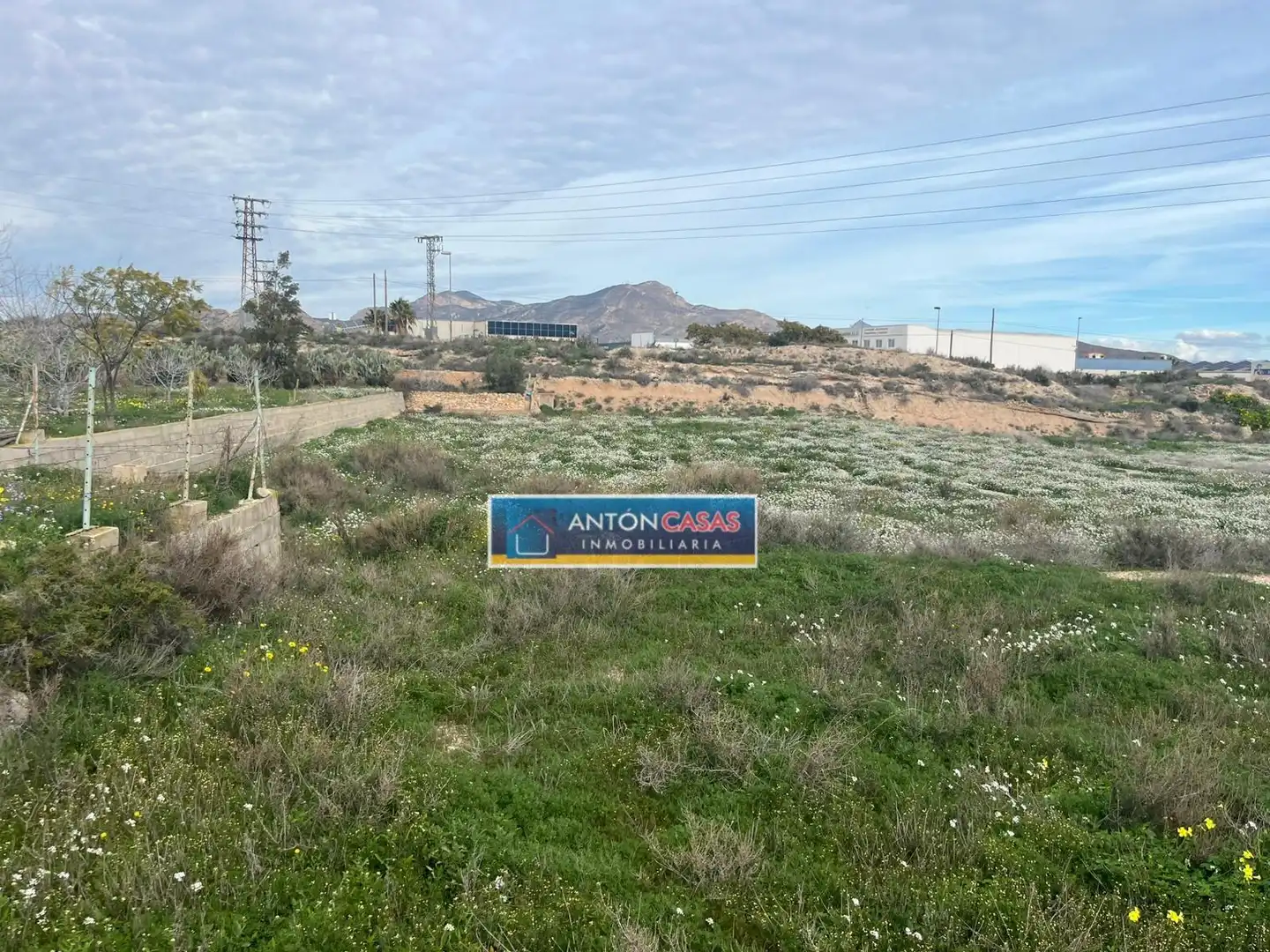Terreny rústic en venda a Novelda