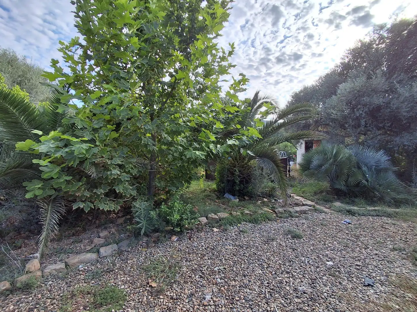 Chalet en venta en Polígono 5 Paraje 127 334, imagen 38