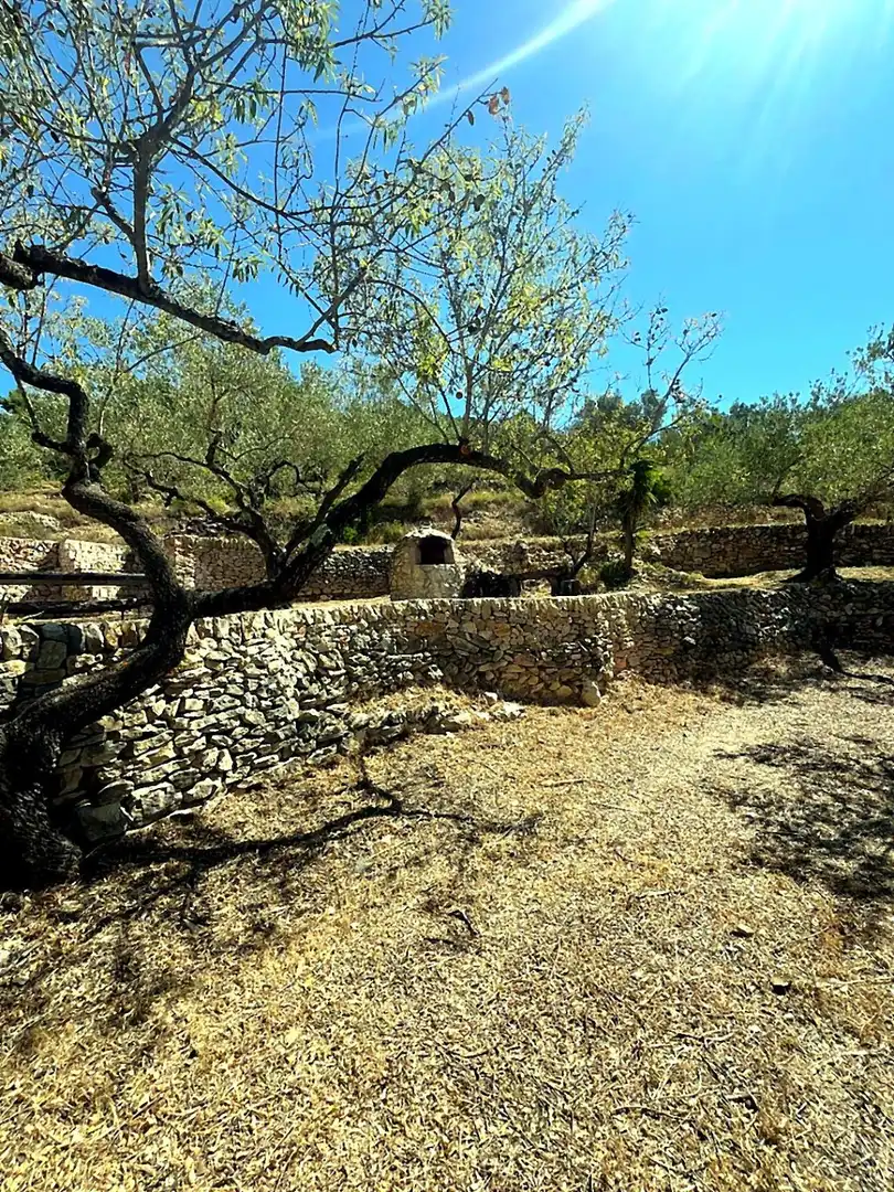 Maison rustique à vendre à El Perelló, imagen 27