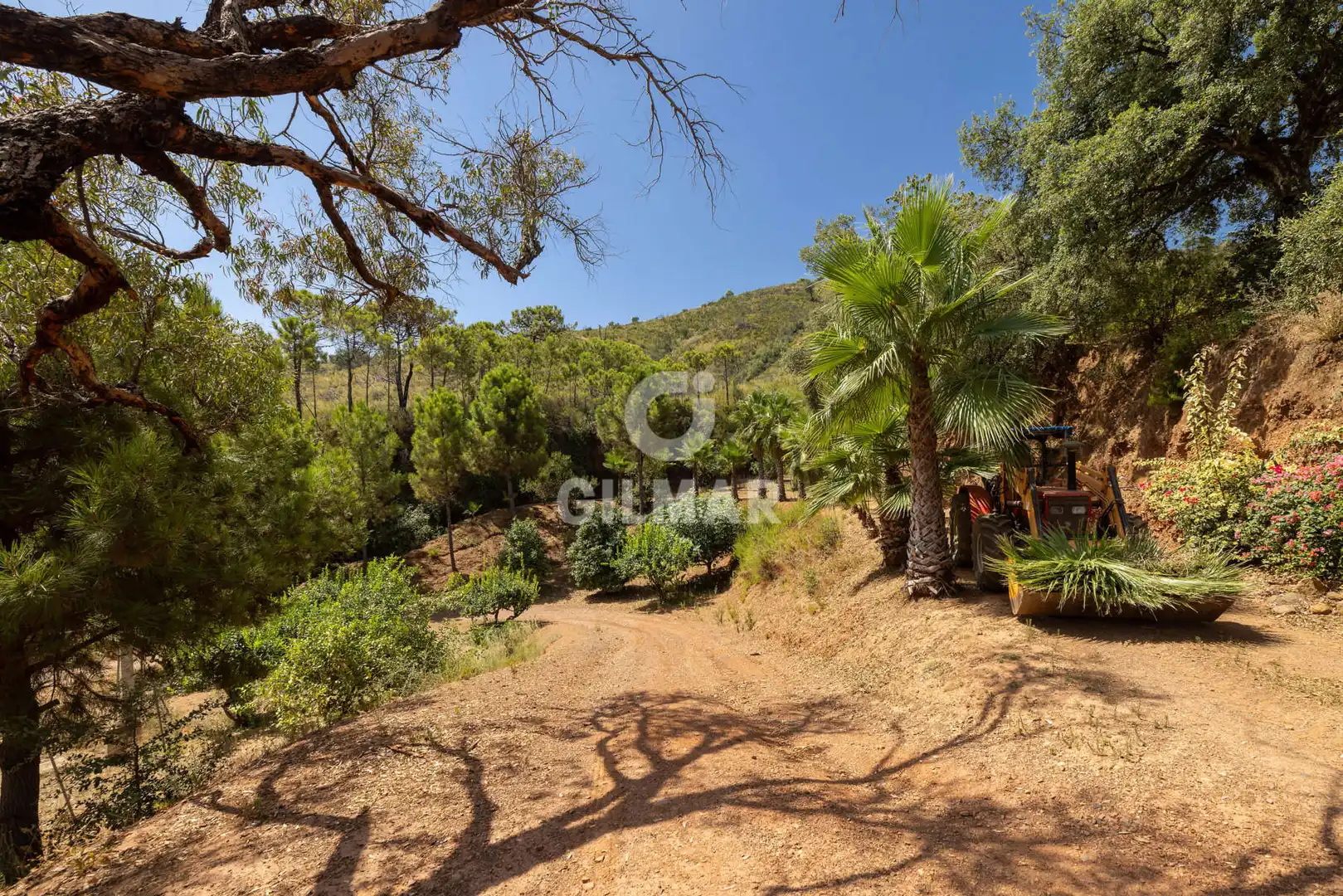 Terreno rustico in vendita a Altos de Estepona, imagen 24