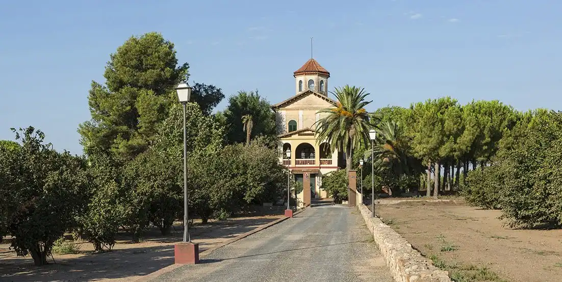 Vista exterior de Finca rústica en venta en Reus con Terraza, Piscina y Amueblado