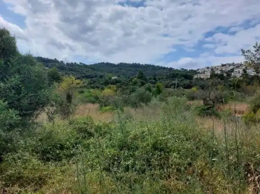 Land for sale in Orba