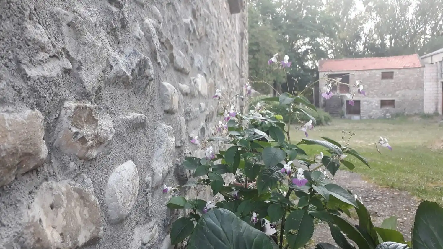 Terreni e lotti in vendita a Sabiñánigo Centro - Aurín, imagen 7