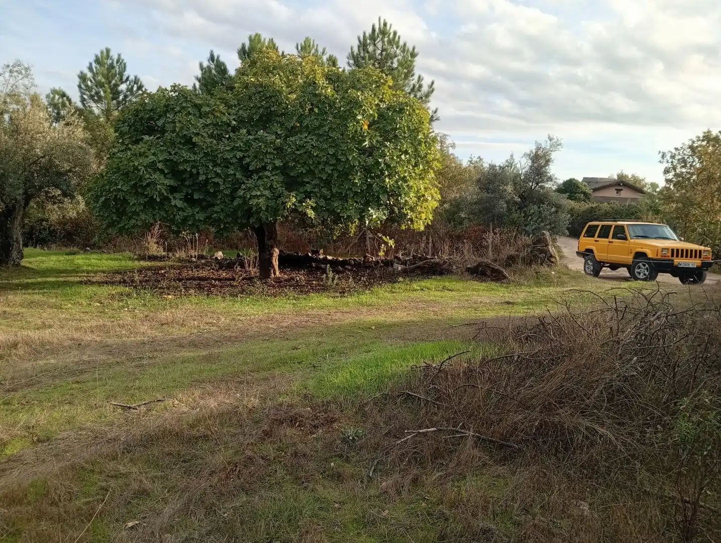Terreni e lotti in vendita a Villanueva de la Vera, imagen 34